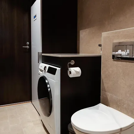 公寓 Fjaellen 8 列维